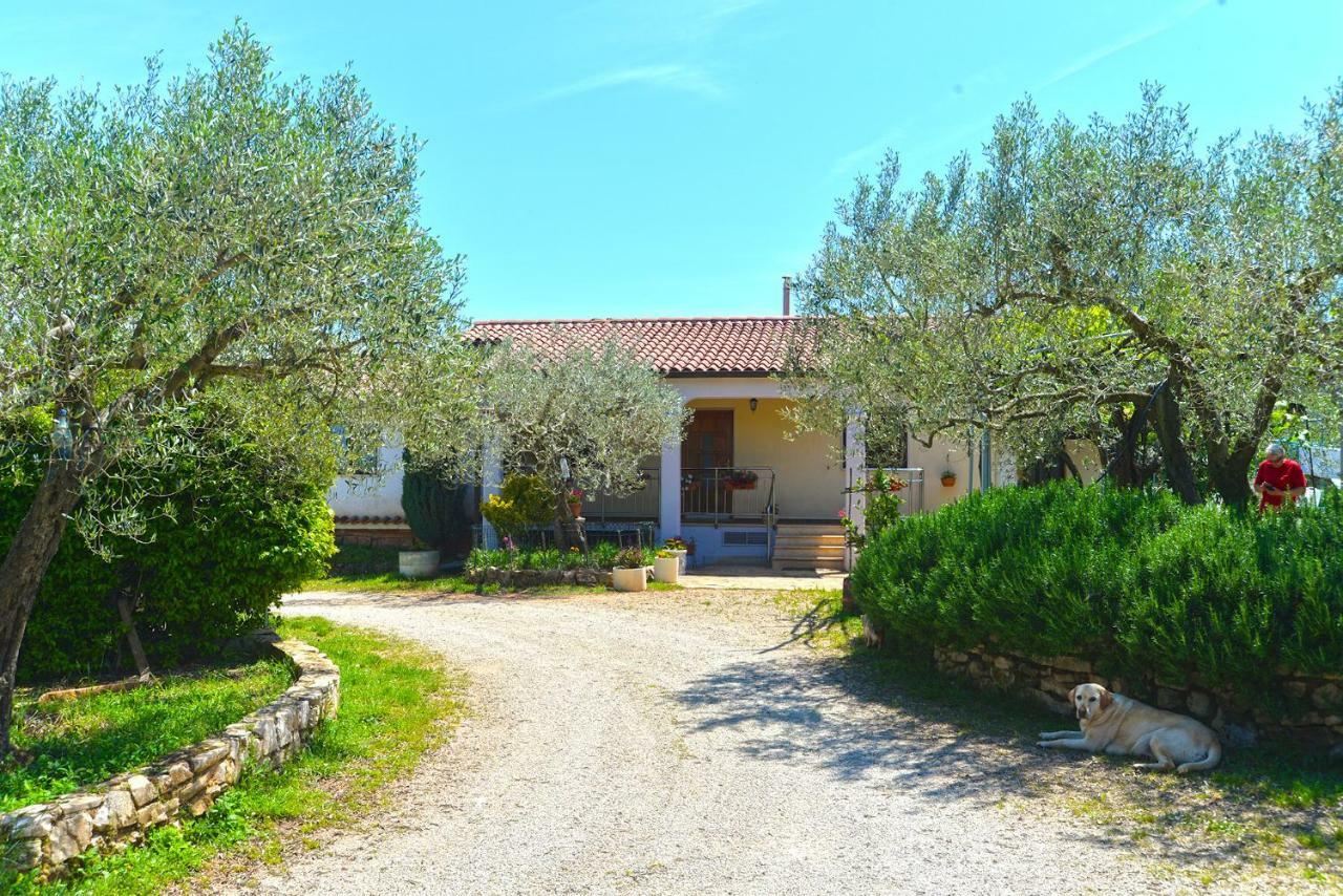 Mario 1679 Appartement Rovinj